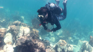 A diver observes coral bleaching in Florida Keys National Marine Sanctuary. (Credit: NOAA’s Atlantic Oceanographic & Meteorological Lab)