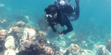 A diver observes coral bleaching in Florida Keys National Marine Sanctuary. (Credit: NOAA’s Atlantic Oceanographic & Meteorological Lab)