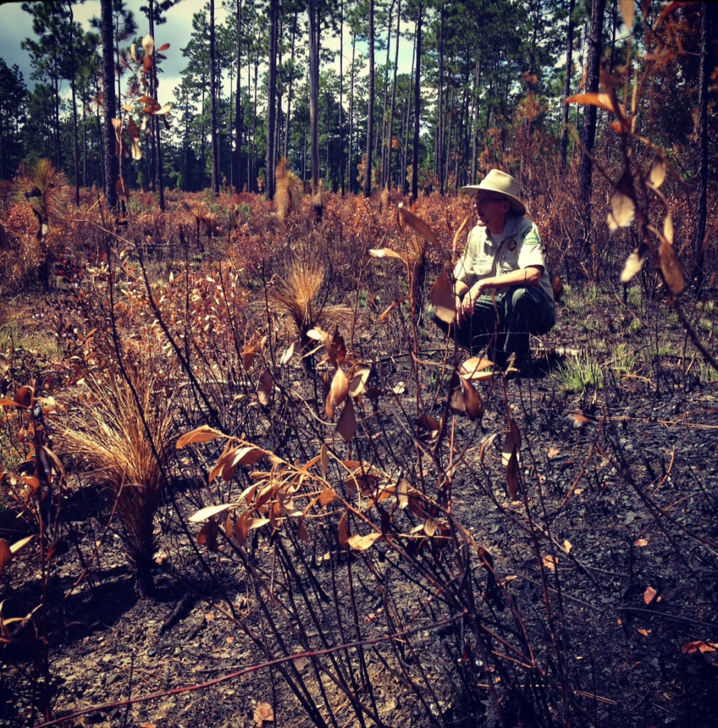 A forester discusses the purpose and aftermath of a prescribed fire. (Photo credit: Carrie Stevenson, UF IFAS Extension)