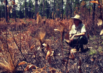 A forester discusses the purpose and aftermath of a prescribed fire. (Photo credit: Carrie Stevenson, UF IFAS Extension)