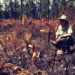 A forester discusses the purpose and aftermath of a prescribed fire. (Photo credit: Carrie Stevenson, UF IFAS Extension)