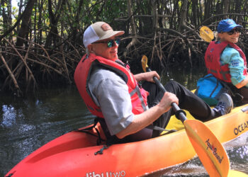 Scott Angle and Ashley Smyth paddle in Oleta River State Park. (UF/IFAS)