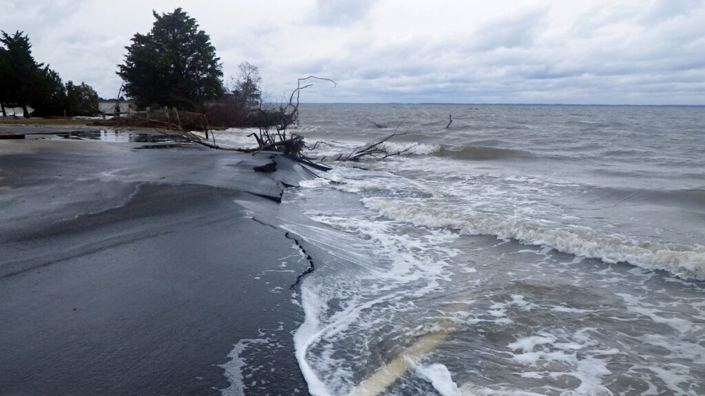 A coastal area after Hurricane Sandy (NPS Climate Change Response, Public domain, via Wikimedia Commons)