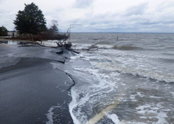 A coastal area after Hurricane Sandy (NPS Climate Change Response, Public domain, via Wikimedia Commons)