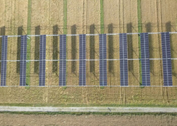 A pilot project in agrivoltaics, the dual use of land for farming and solar production. (Tobi Kellner, CC BY-SA 4.0, via Wikimedia Commons)