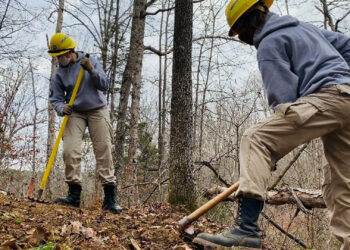 An AmeriCorps National Civilian Community Corps team working on a trail project in 2021. (AmeriCorps, Public domain, via Wikimedia Commons)