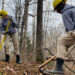 An AmeriCorps National Civilian Community Corps team working on a trail project in 2021. (AmeriCorps, Public domain, via Wikimedia Commons)