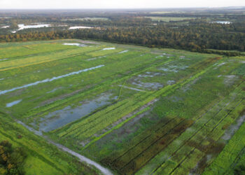 An overhead view of the research site (Courtesy Zachary Brym)