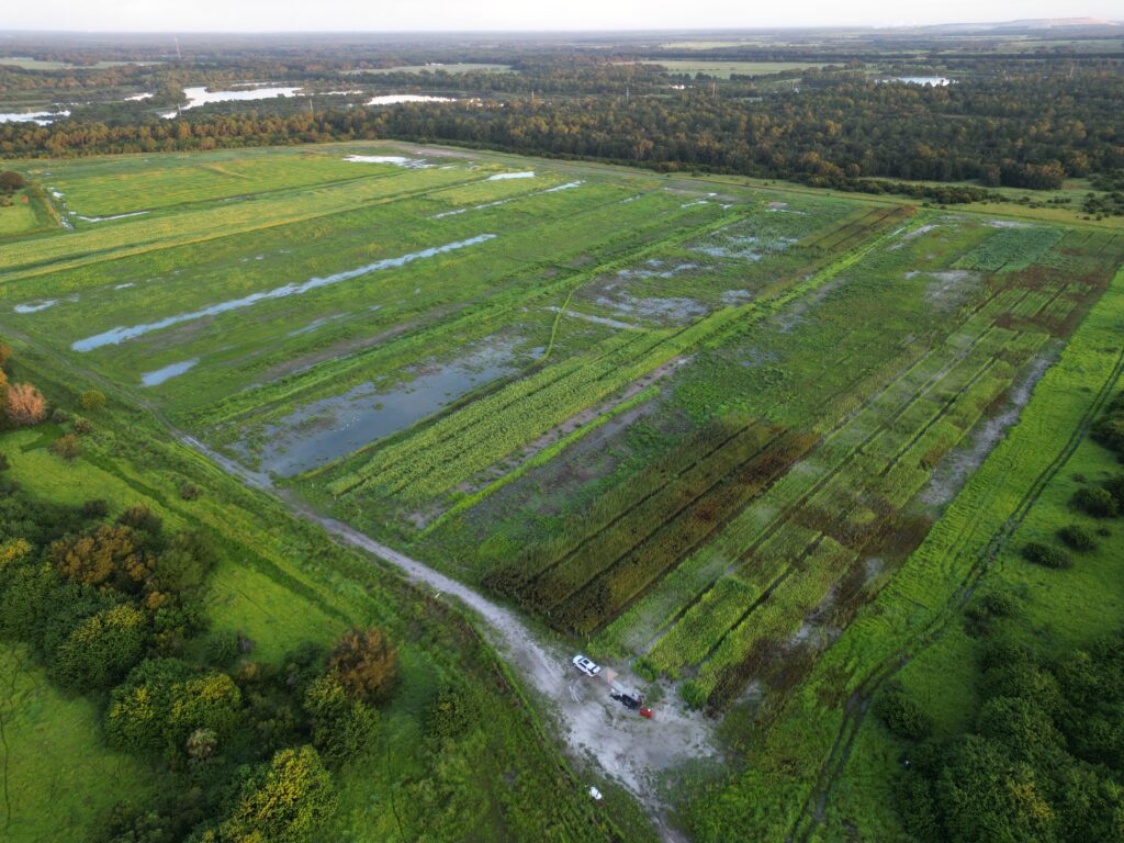 An overhead view of the research site (Courtesy Zachary Brym)