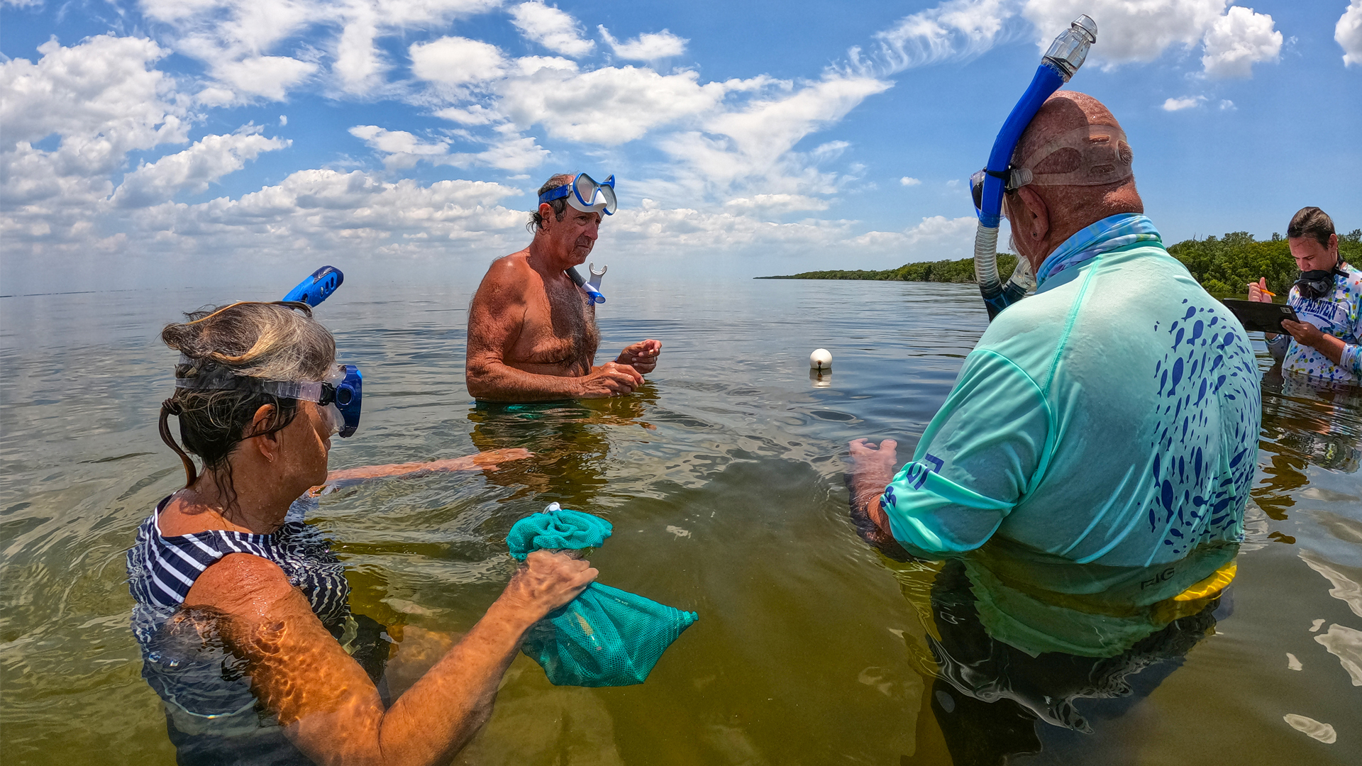 Eyes on Seagrass volunteers conduct surveys in 2021. (Courtesy Heal Our Harbor)