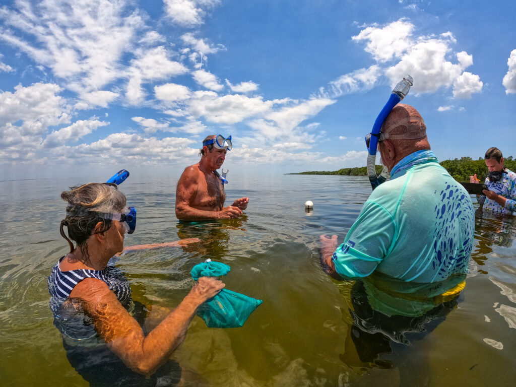Eyes on Seagrass volunteers conduct surveys in 2021. (Courtesy Heal Our Harbor)