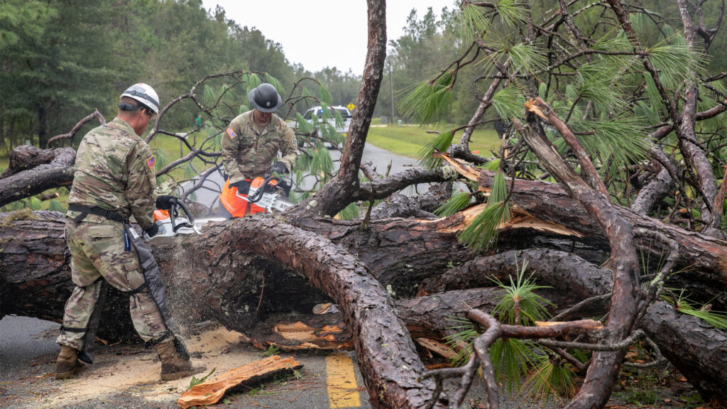 Members of the Florida National Guard's 868 Engineer Company use chainsaws to cut a tree knocked in the road by Hurricane Idalia in Suwanee County, (The National Guard, CC BY 2.0, via Wikimedia Commons)