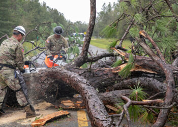 Members of the Florida National Guard's 868 Engineer Company use chainsaws to cut a tree knocked in the road by Hurricane Idalia in Suwanee County, (The National Guard, CC BY 2.0, via Wikimedia Commons)