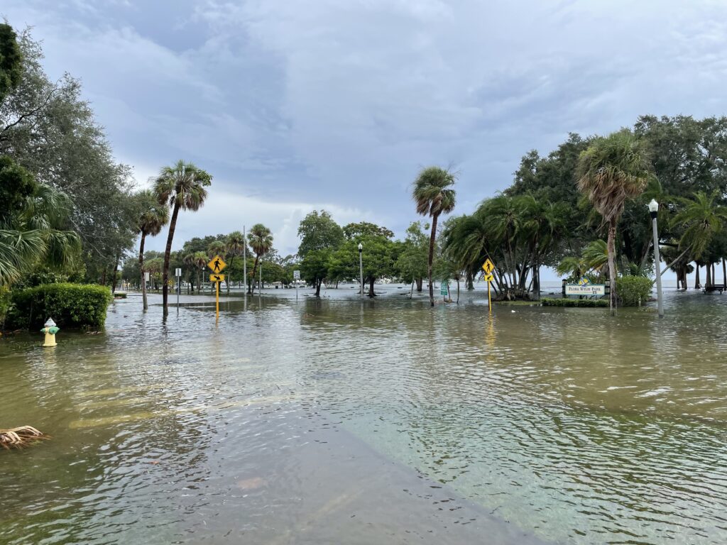 Hurricane Idalia storm surge at Flora Wylie Park in St. Petersburg. (Adog, CC BY-SA 4.0, via Wikimedia Commons)