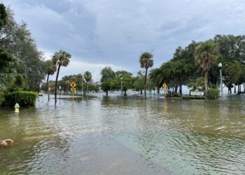 Hurricane Idalia storm surge at Flora Wylie Park in St. Petersburg. (Adog, CC BY-SA 4.0, via Wikimedia Commons)