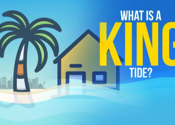 A still from the video "What is a King Tide?" (FAU Center for Environmental Studies)