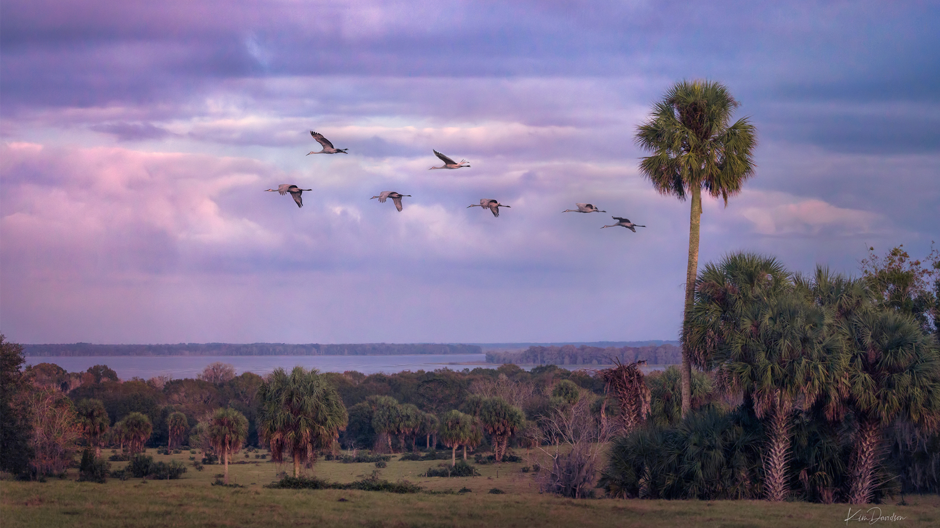 The Orange Lake Overlook south of McIntosh on U.S. 441, one of the properties protected by the Alachua Conservation Trust (Kim Davidson photo courtesy of ACT)