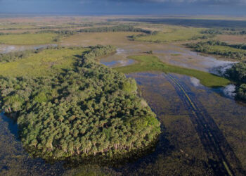 An aerial view of the Role Tran property (previously known as Triple Diamond Ranch) in Okeechobee County. Learn more at Wildpath.com/progress. (Photo by Carlton Ward Jr. @cartlonward/Wildpath @wildpath)