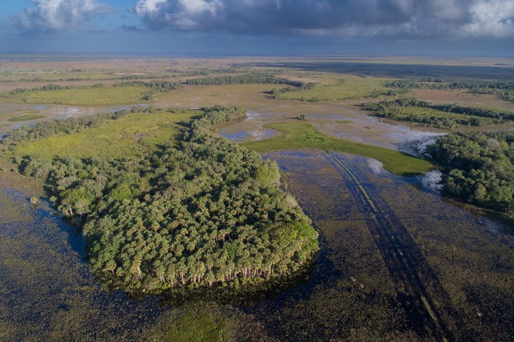 An aerial view of the Role Tran property (previously known as Triple Diamond Ranch) in Okeechobee County. Learn more at Wildpath.com/progress. (Photo by Carlton Ward Jr. @cartlonward/Wildpath @wildpath)