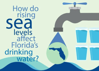 Video: How do rising sea levels affect Florida's drinking water? (FAU Center for Environmental Studies)