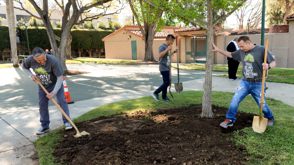 Trees are planted at an Arbor Day event (Jon Viscott/West Hollywood, CC BY-NC-ND 2.0, via flickr)