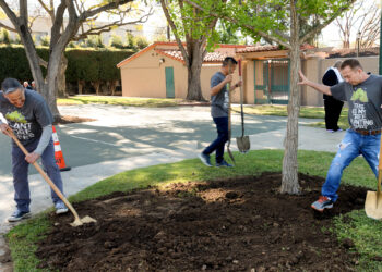 Trees are planted at an Arbor Day event (Jon Viscott/West Hollywood, CC BY-NC-ND 2.0, via flickr)