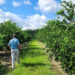 University of Georgia extension agent Jake Price walks through the rows of citrus trees he’s growing in Valdosta, Georgia, to study how different varieties withstand the cold. (Grist/Emily Jones)