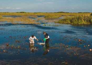 FIU aquatic ecologist Evelyn Gaiser and graduate student Samantha Hormiga take water samples. (FIU News)