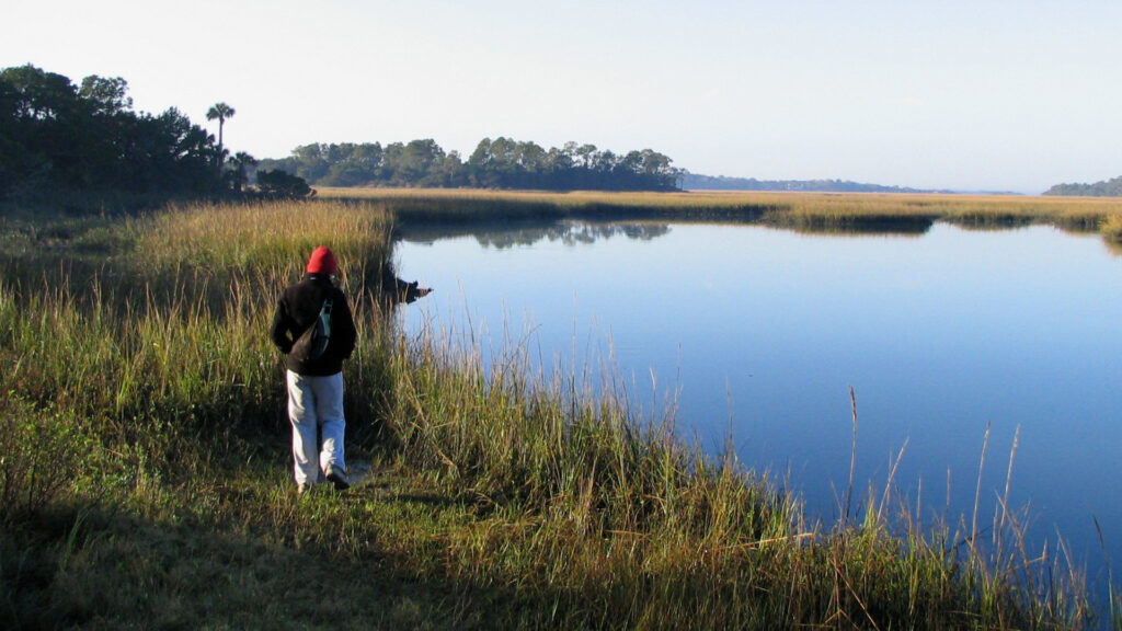 Little Talbot Island (Mwanner at en.wikipedia, CC BY-SA 3.0, via Wikimedia Commons)