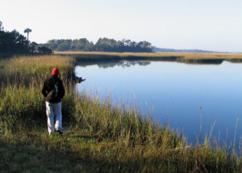 Little Talbot Island (Mwanner at en.wikipedia, CC BY-SA 3.0, via Wikimedia Commons)
