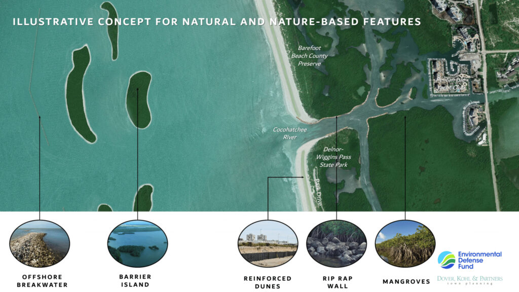 Nature-based alternatives to beach renourishment are considered to be some of the most cost-effective options. (Environmental Defense Fund)
