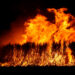 Sugarcane burning in a field (cytoon, CC BY 2.0, via Wikimedia Commons)