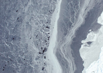 Part of the West Antarctic ice sheet (NASA Goddard Space Flight Center, Public domain, via Wikimedia Commons)