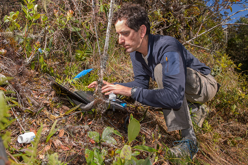 The latest Global Amphibian Assessment is unable to account for the yet-to-be-identified species of amphibians, which are another area of concern, according to FIU researcher Alessandro Catenzzai. Many can be very small and reside in remote habitats that are not immune to disease and the effects of climate change. Catenazzi is very familiar with the elusive nature of many species, having identified nearly 60 previously unknown species throughout his career. (FIU News)