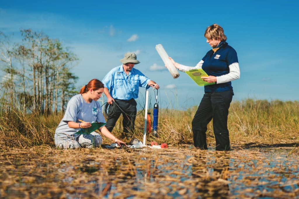 FIU's Todd Crowl, Evelyn Gaiser and graduate student Samantha Hormiga are among the many university researchers and students working to ensure the future health of the Florida Everglades. (FIU News)