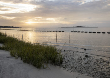 Sea Grant's living shoreline restoration in Cedar Key (Tyler Jones, UF/IFAS)