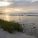 Sea Grant's living shoreline restoration in Cedar Key (Tyler Jones, UF/IFAS)