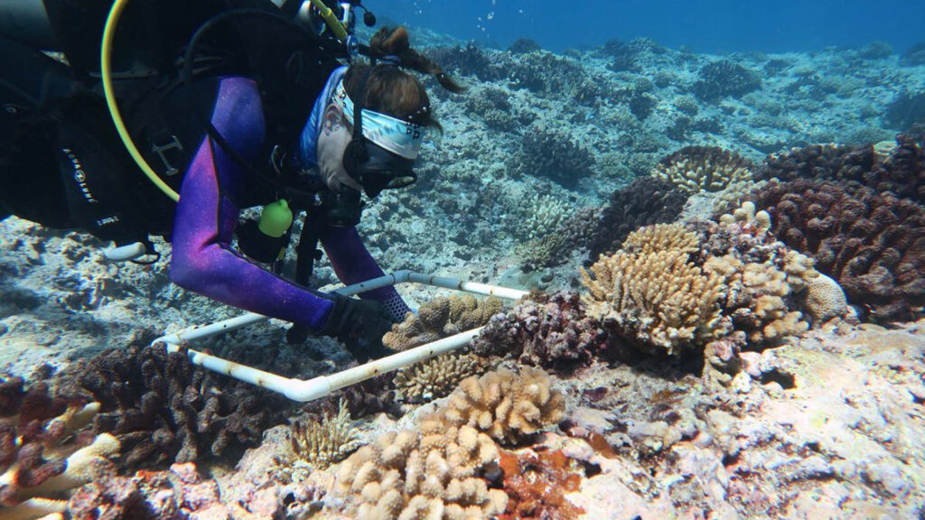 Erika Johnston, pictured, and Scott Burgess named this new coral “Pocillopora tuahiniensis” because tuahine means “sister” in the Tahitian language, and to recognize the people who have lived in French Polynesia a few thousand years. (Photo by Scott Burgess)
