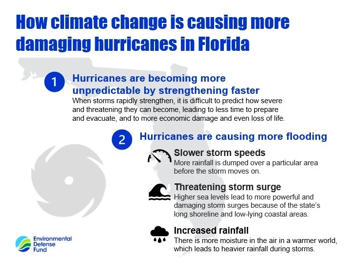 How climate change is causing more damaging hurricanes in Florida (Environmental Defense Fund)