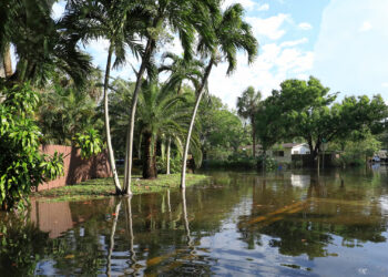 Flooding in a Fort Lauderdale neighborhood after historic rainfall in April 2023 (iStock image)