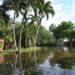 Flooding in a Fort Lauderdale neighborhood after historic rainfall in April 2023 (iStock image)