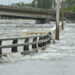 Storm surge from Hurricane Idalia flooding Bayshore Boulevard near downtown Tampa. (Andrew Heneen, CC BY 4.0, via Wikimedia Commons)