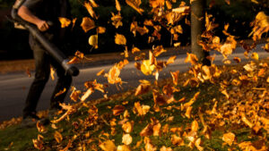 A leaf blower in action (Daniel Bockwoldt/picture alliance via Getty Images and Grist)
