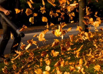 A leaf blower in action (Daniel Bockwoldt/picture alliance via Getty Images and Grist)