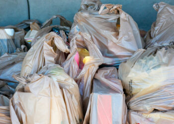 Plastic bags full of groceries in the trunk of a car (iStock image)