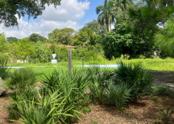 A local stormwater park, which is a prime example of a green infrastructure solution in action (Submitted image)