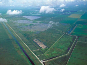 A stormwater treatment area in the Northern Everglades surrounded by sugar cane fields. (U.S. Geological Survey, Public domain, via Wikimedia Commons)