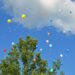 Balloons released into the sky (iStock image)