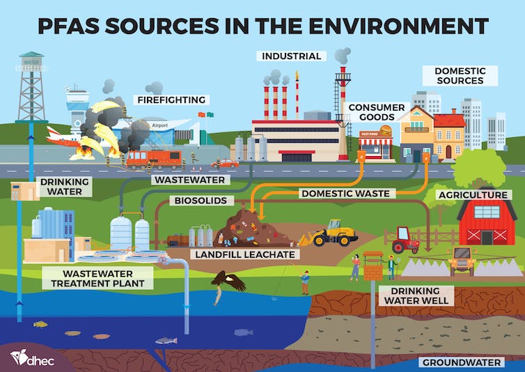 An illustration shows some of the sources of PFAS in the environment. (North Carolina Department of Health and Environmental Control)