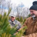 Christmas tree farms like this one can be found in almost every state. (USDA)